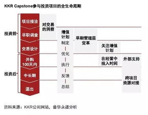 战略投资管理的模式与发展逻辑 构建长期价值驱动的投资体系